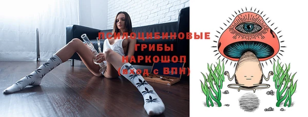гашик Белокуриха