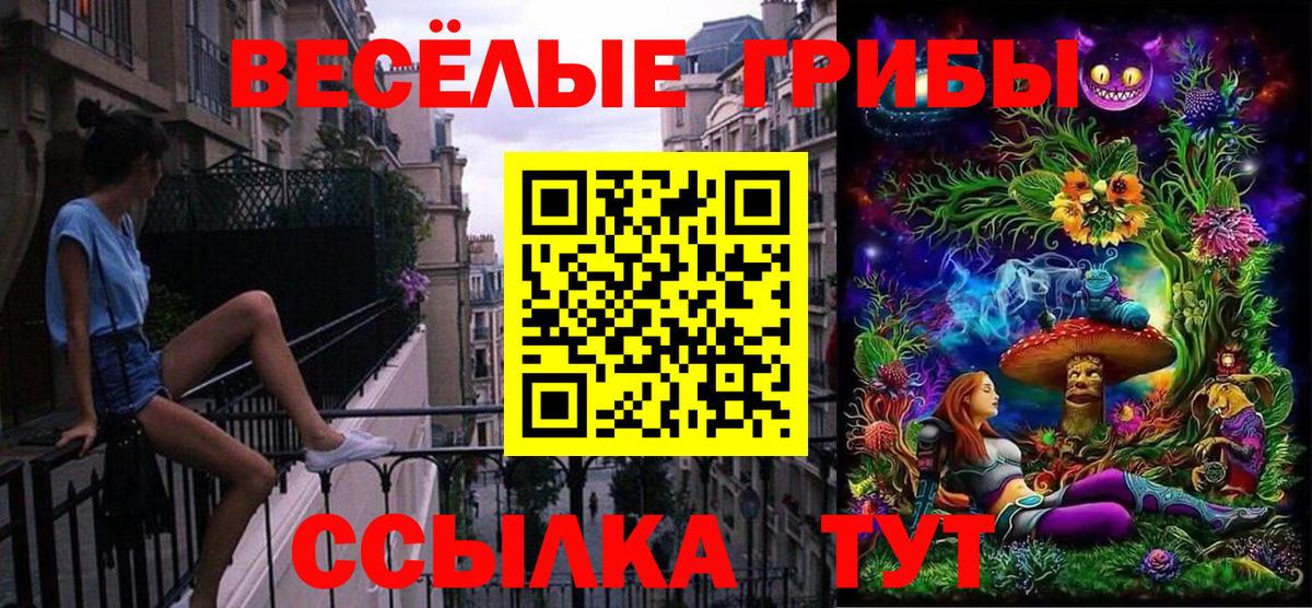 Псилоцибиновые грибы мухоморы  Галлюциногенные грибы Psilocybe  Губкинский  Вход с VPN 