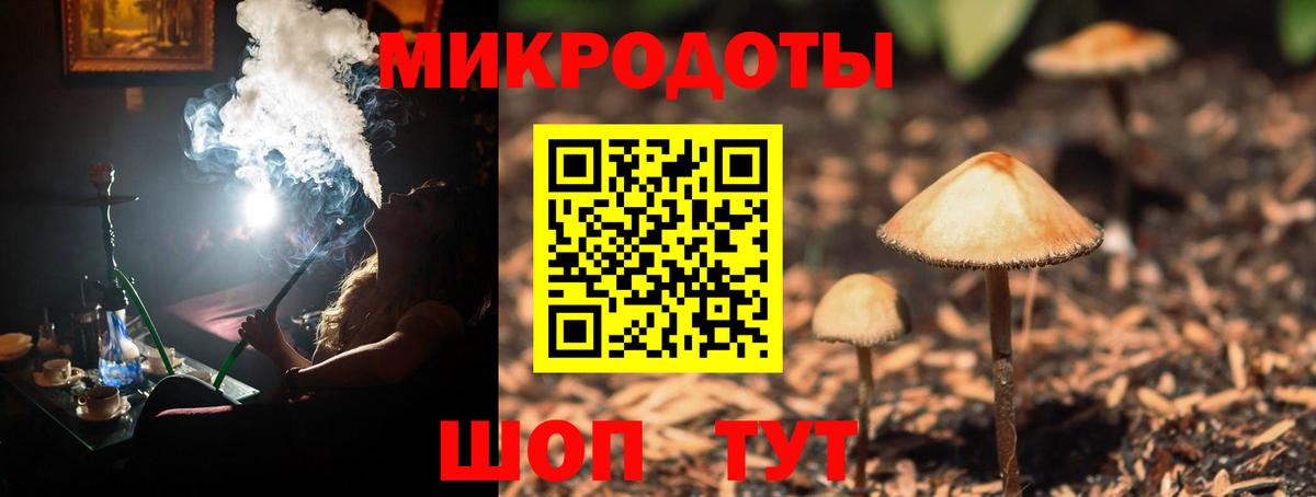 Галлюциногенные грибы Magic Shrooms Губкинский